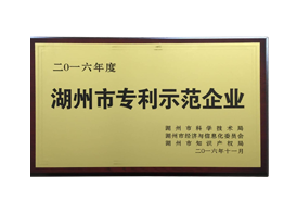 市zhuanli示范企業(yè)證書(shū)